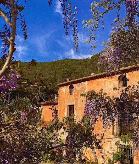 Villa Catalina Aka Villa Almanita Sant Pere De Ribes Eksteriør billede